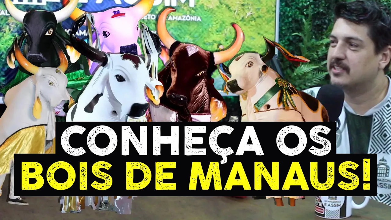 Festival Folclórico do Amazonas: Conheça os Bois-Bumbás de Manaus e suas temáticas encantadoras!