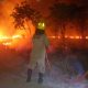 Corpo de Bombeiros do Amaoznas combateu 70 focos de incêndio em Manicoré só nas últimas 24 horas! / Foto: Divulgação/CBMAM