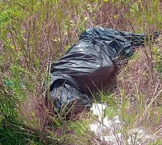 Corpo enrolado em saco plástico é encontrado em matagal às margens da AM-010, entre Manaus e Rio Preto da Eva