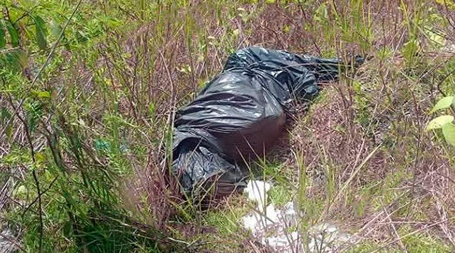 Corpo enrolado em saco plástico é encontrado em matagal às margens da AM-010, entre Manaus e Rio Preto da Eva