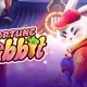 Fortune Rabbit: Um Jogo de Casino Fascinante