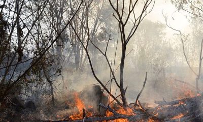 Confira as medidas de combate a queimadas urbanas e a fumaça que encobre a cidade apresentadas pelo Prefeito David Almeida