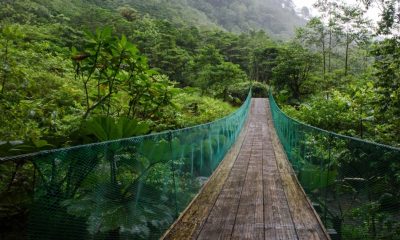 Turismo temático e como pode valorizar a Amazônia