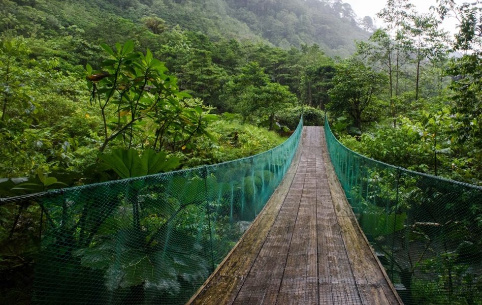 Turismo temático e como pode valorizar a Amazônia