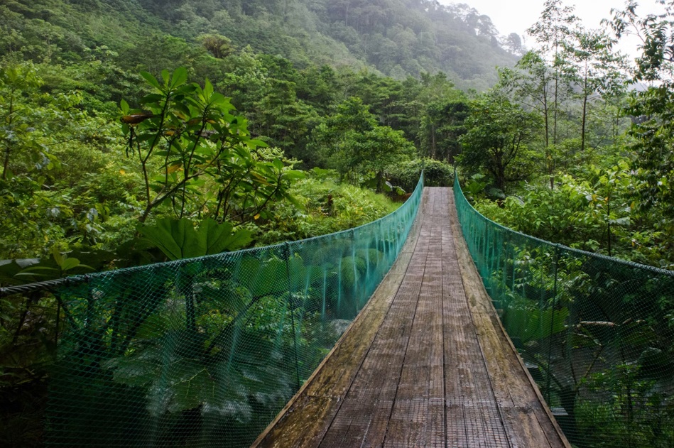 Turismo temático e como pode valorizar a Amazônia