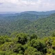 Descoberta arqueológica : Cidade perdida do século 18 é achada no coração da Amazônia! / Foto : TV Brasil