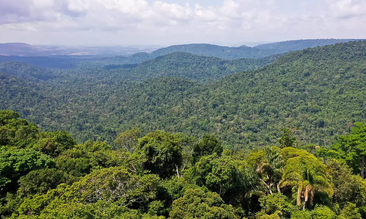 Descoberta arqueológica : Cidade perdida do século 18 é achada no coração da Amazônia! / Foto : TV Brasil