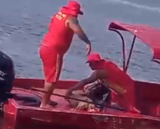 Rosto de homem que foi retirado das águas da orla do São Raimundo já estava devorada por peixes!