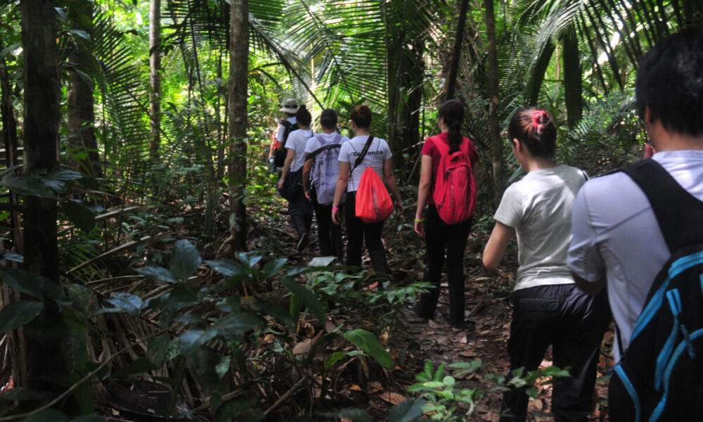 Mestrandos da Amazônia tem até o dia 28 de fevereiro para se inscrever no programa de bolsas da Cátedra Escolhas de Economia e Meio Ambiente