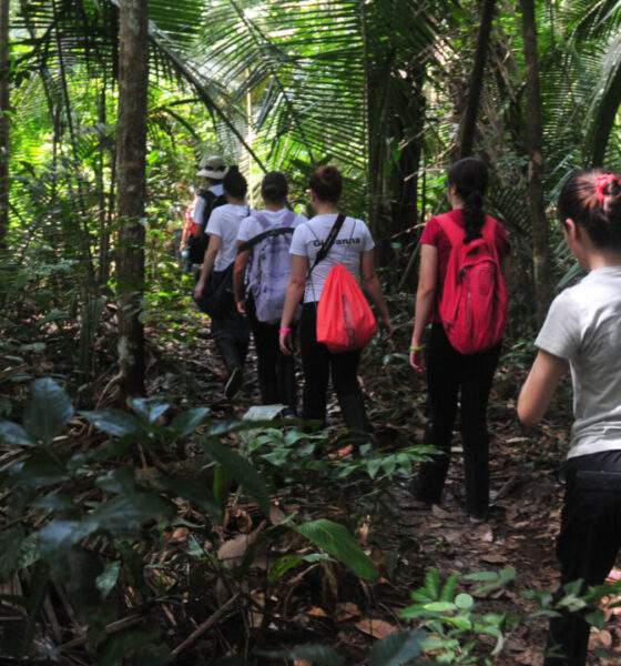 Mestrandos da Amazônia tem até o dia 28 de fevereiro para se inscrever no programa de bolsas da Cátedra Escolhas de Economia e Meio Ambiente