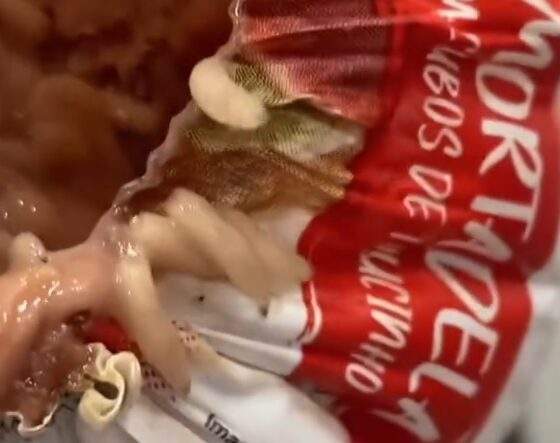 Mortadela com larvas é flagrada em supermercado de Manaus e caso gera revolta nas redes