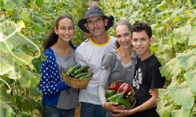 Amazônia e Agricultura Familiar
