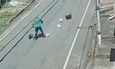 Ataque brutal: gari corre por socorro após ser atacado por dois pitbulls / Foto - Reprodução