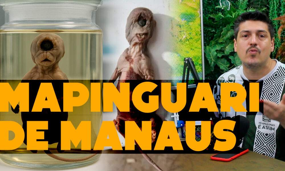 Mistério em Manaus: criatura bizarra (Mapinguari) assusta moradores!