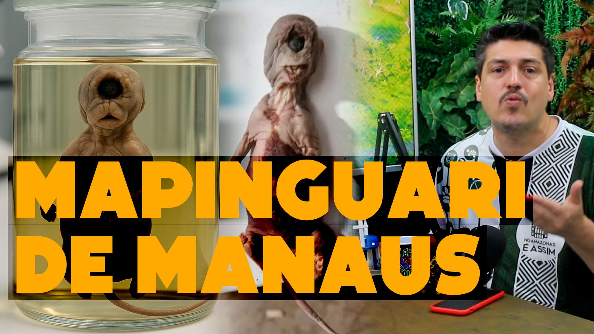 Mistério em Manaus: criatura bizarra (Mapinguari) assusta moradores!