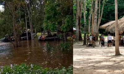 Operação conjunta combate exploração ilegal de animais silvestres na comunidade do Janauari, em Iranduba