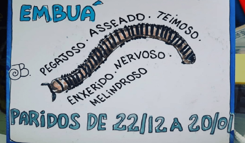 Horóscopo Cabocão - Embuá