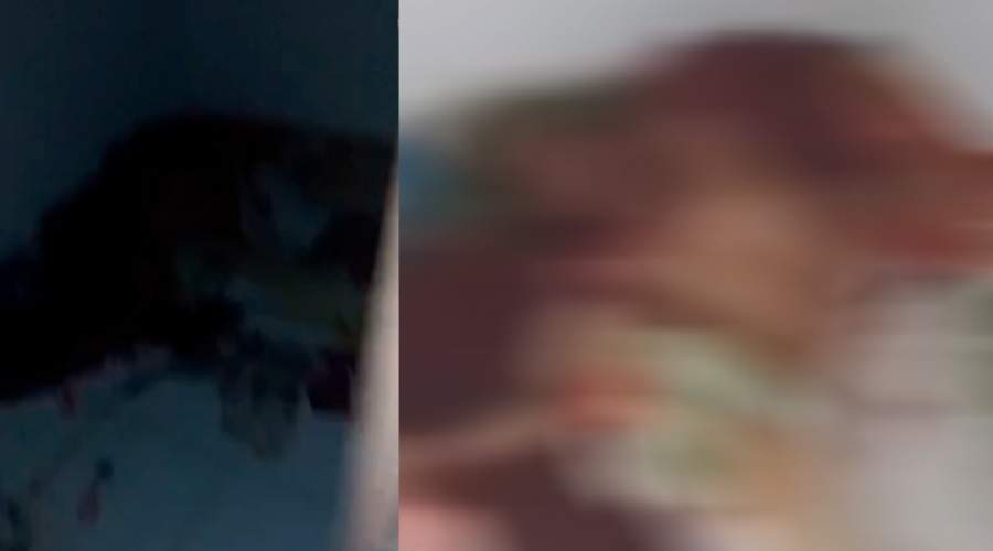 Vídeo original de “Chico Pereira tá dormindo” choca internet: filho mata o pai e grava tudo rindo