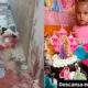 Tragédia: pitbull mata criança enquanto ela brincava no quintal da própria casa!