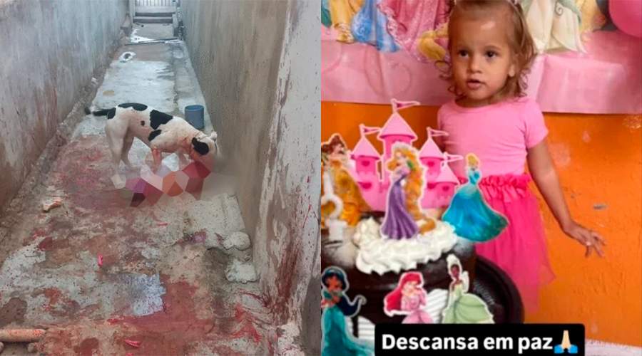 Tragédia: pitbull mata criança enquanto ela brincava no quintal da própria casa!