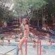 A Origem do Selva Park: Do Clube Elamtur ao Paraíso das Laranjeiras