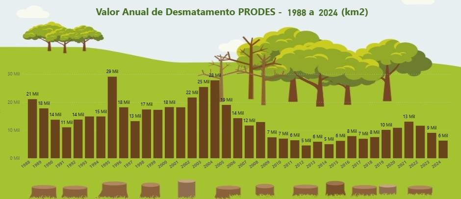 Infográfico que integra a plataforma Bi da Floresta, do Instituto CERTI Amazônia / Foto : Divulgação