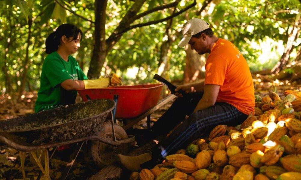 Acordos Climáticos da ONU: Como eles estão transformando a vida nas Comunidades da Amazônia