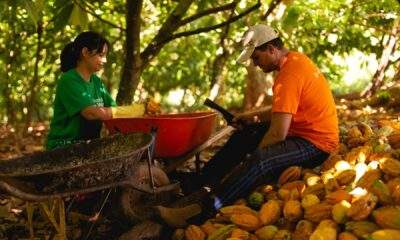 Acordos Climáticos da ONU: Como eles estão transformando a vida nas Comunidades da Amazônia