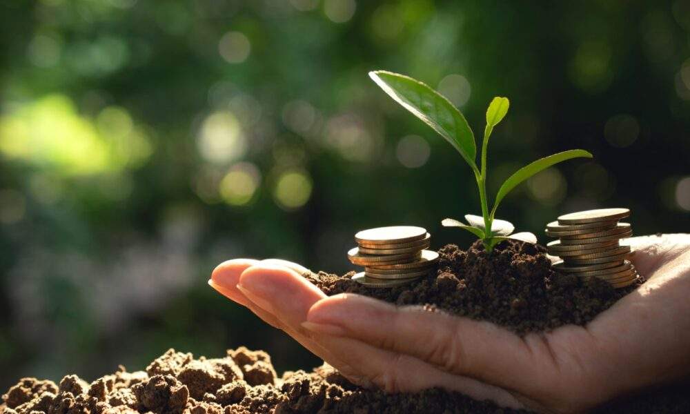 O Futuro da Amazônia está na mesa: O que esperar da Cúpula Climática Global