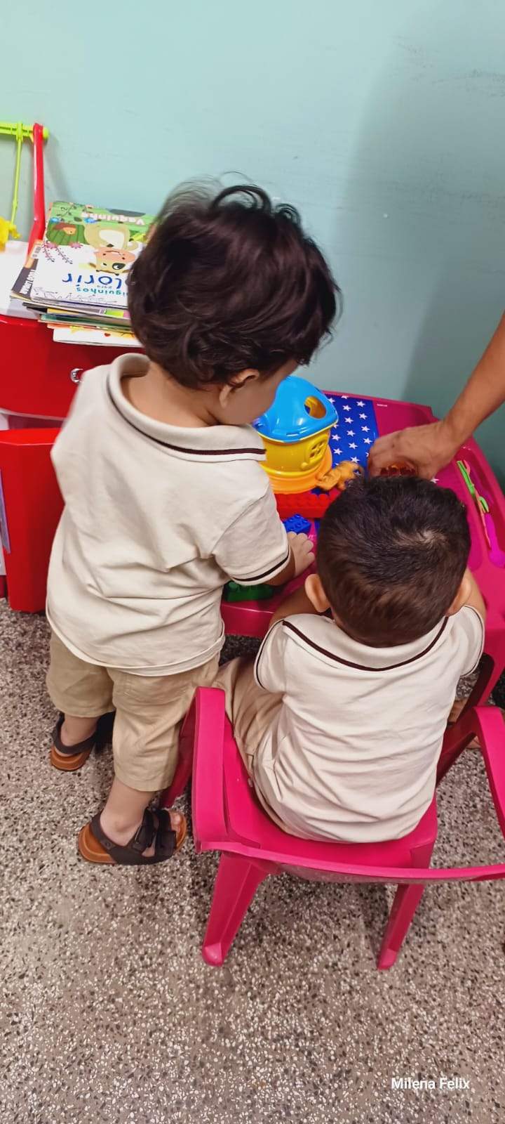 Ajuda solidária para os gêmeos autistas Lucas e Daniel / Foto : Divulgação