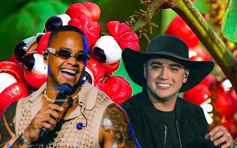 Festa do Guaraná 2025 chega com força em Maués nos dias 28 a 30 de novembro / Foto : Divulgação