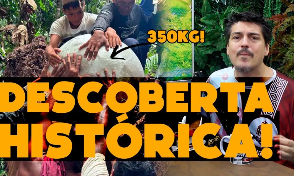 Descoberta histórica no Amazonas: Urnas funerárias que mudarão a história da Amazônia Antiga!