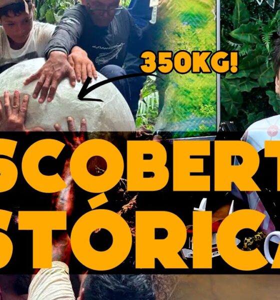 Descoberta histórica no Amazonas: Urnas funerárias que mudarão a história da Amazônia Antiga!