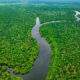 amazônia 10 fatos impressionantes sobre a maior floresta do mundo