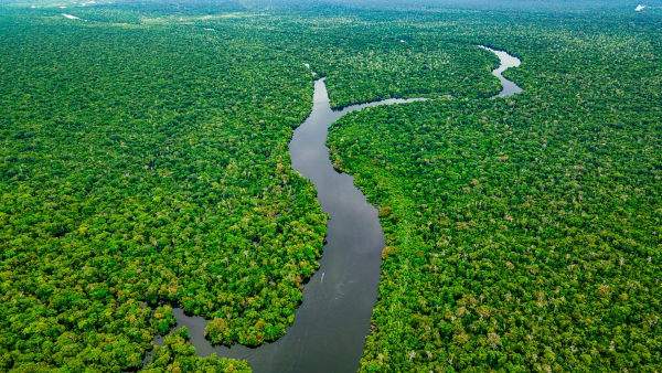 amazônia 10 fatos impressionantes sobre a maior floresta do mundo