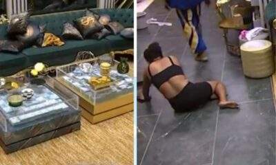 câmeras flagram gambá passeando pela casa do bbb26 (1)