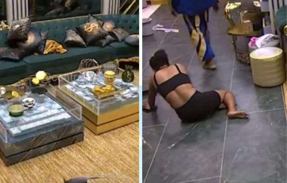 câmeras flagram gambá passeando pela casa do bbb26 (1)