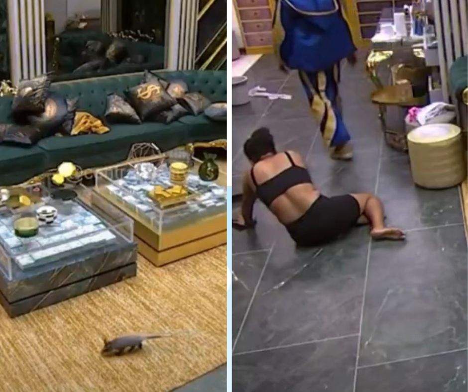 câmeras flagram gambá passeando pela casa do bbb26 (1)
