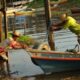 costumes ribeirinhos tradições que formam a cultura do amazonas