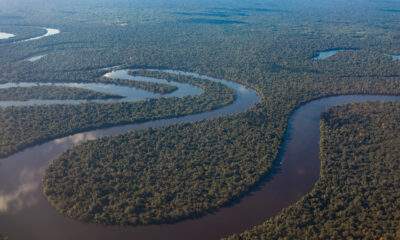 Curiosidades sobre o maior rio do mundo que nasce na Amazônia