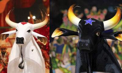 festival de parintins curiosidades do maior festival folclórico da amazônia