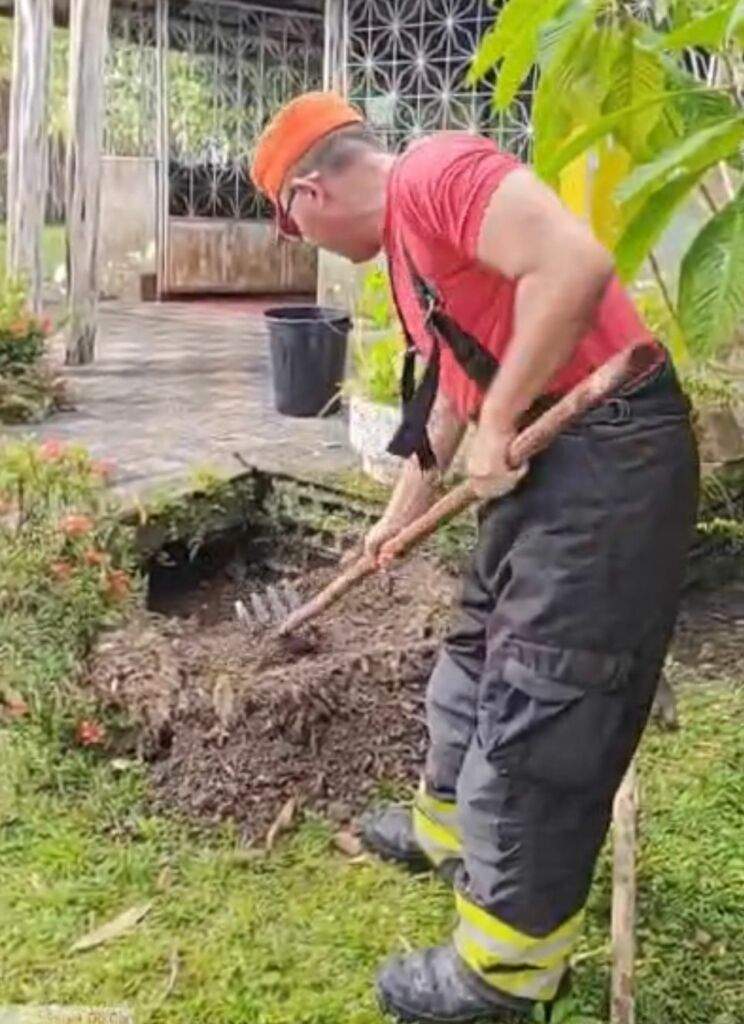 filhotes são resgatados após cinco dias presos sob calçada no interior do amazonas (2)