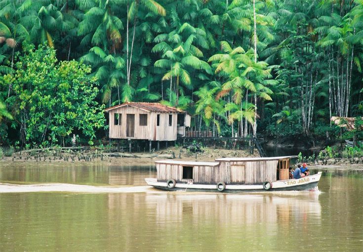 histórias reais de quem vive às margens dos rios amazônico