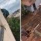 homem morre apos fugir por janela