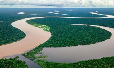 mistérios do rio amazonas que intrigam cientistas e exploradores