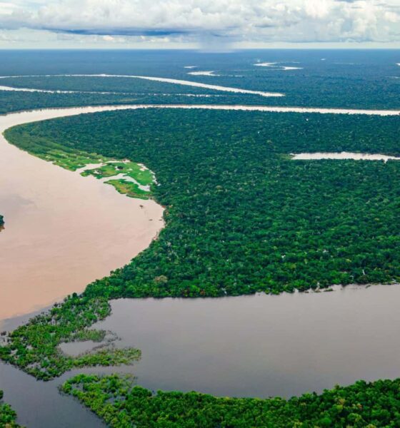 mistérios do rio amazonas que intrigam cientistas e exploradores