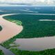 mistérios do rio amazonas que intrigam cientistas e exploradores