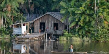 orgulho de ser amazonense histórias inspiradoras que representam o amazonas