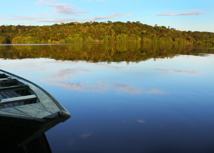 parque nacional do jaú