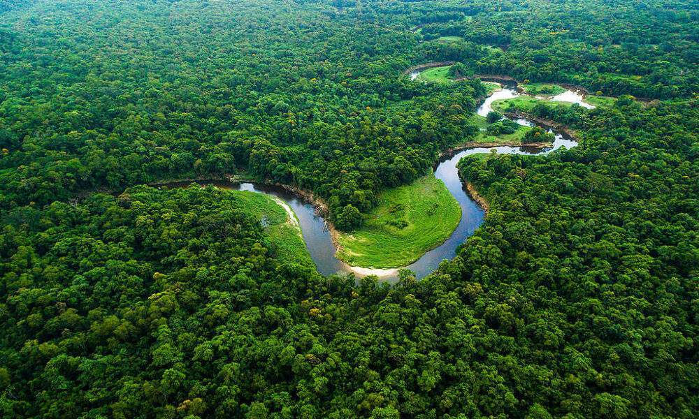 Por que a Amazônia é um dos lugares mais importantes do planeta